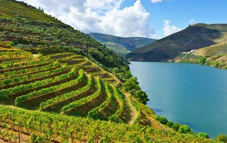 Douro Valley Private Wine Tour From Porto