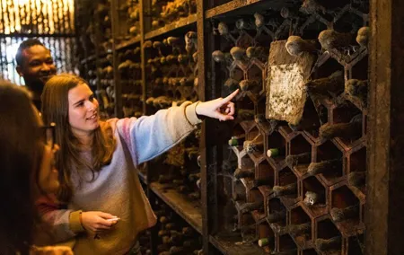 Porto Wine & Dine: Port Wine Cave Food Tour with Eating Europe