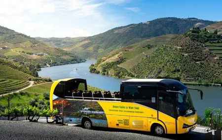 Douro Valley and Wine Day Trip from Porto