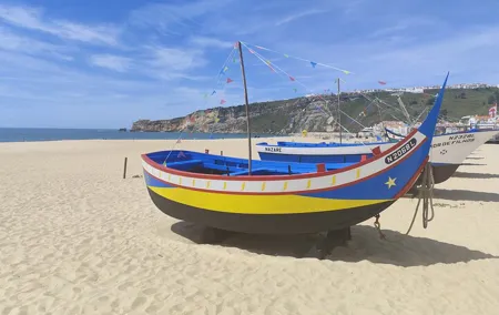 Tour / Transfer Lisbon Porto or Porto Lisbon