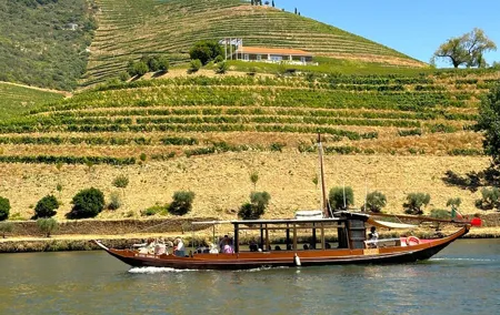 From Porto: Douro Valley Tour with 2 Wineries, Lunch and Cruise