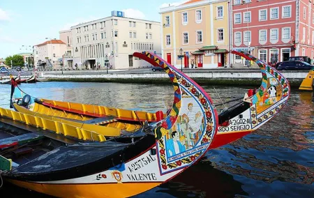 Aveiro and Coimbra from Porto with Moliceiro Boat Trip