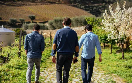 Douro Valley Private Day Trip including Boat Ride & Wine Tasting
