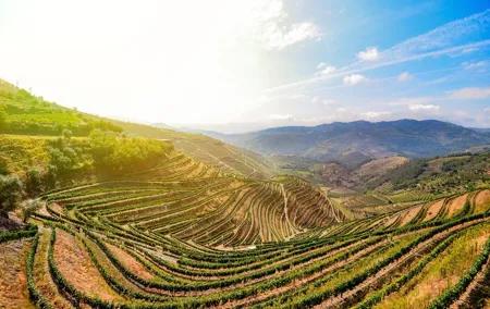 Full Day, Wine Tasting, River Cruise and Lunch from Porto