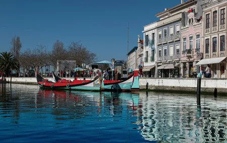 Moliceiro Boat Tour on the Ria de Aveiro