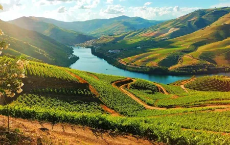 Douro Valley Tour – Relaxed Departure from Porto