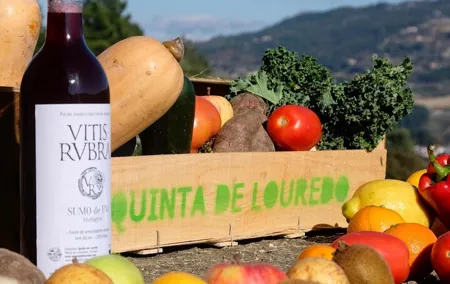 Traditional Cooking Class, Farm Tour & Lunch in the Douro Valley