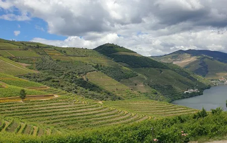 Private Tour of Douro Valley from Porto & Vila Nova de Gaia