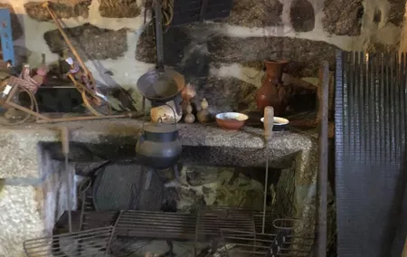 4-Hour Portuguese Cooking and Wine Experience