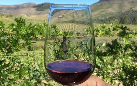 Day Trip Through the Enchanting Douro Valley #DuckSideOfPorto