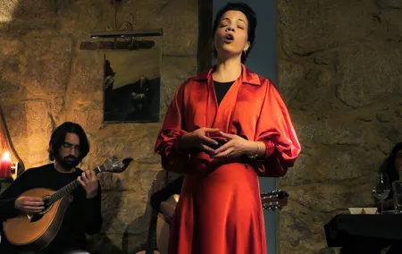 Fado Dinner Show and Night Lights Tour in Porto