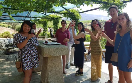 Douro Valley for Wine Lovers with Visit to 3 Vineyards and Lunch at a Winery