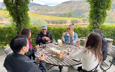 Douro Valley Luxury Wine Tour: 3 Estates, Cruise & Gourmet Dining