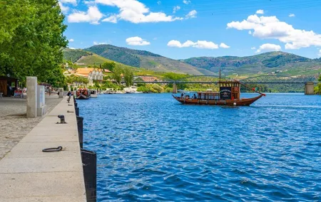 Private tour from Porto to Duoro Valley (Peso da Regua & Pinhao)
