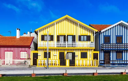 From Porto: Aveiro Private Day Trip