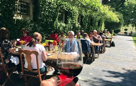 Douro: luxury walking tour with full lunch at Quinta da Pacheca
