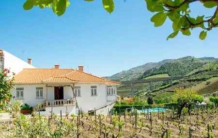 Wine Harvest in Douro Valley: Grape Picking, Tasting & Lunch Tour