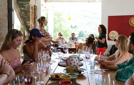 Douro Valley: A Half-Day Tour with visit and tastings