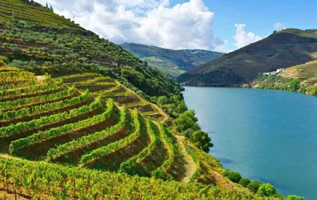 Porto: Day Trip to Douro including lunch and Rivercruise