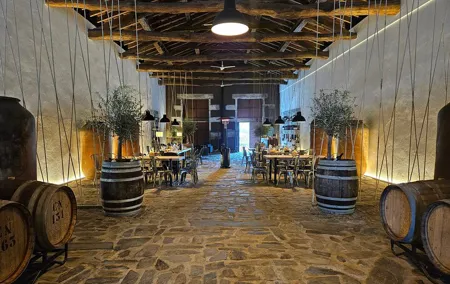 From Valley to Glass: The Douro Wine Route