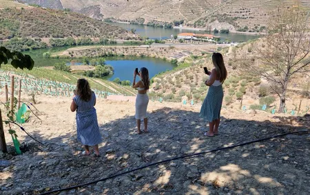 From Gaia Tour to Douro Valley with Boat Wine Tasting and Lunch