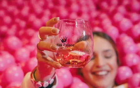 Porto: Pink Palace - Immersive Rosé Wine Museum with 5 Tastings