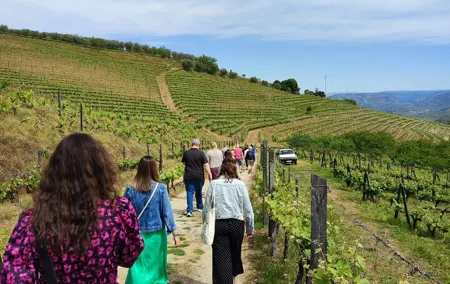 Douro Tour with Wine Tasting, River Cruise and Visit to Lamego