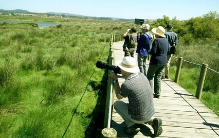 Private Birdwatching from Porto