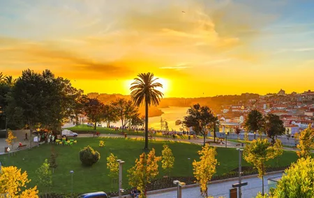 From Porto: Port Wine Sunset Rooftop Walking Tour