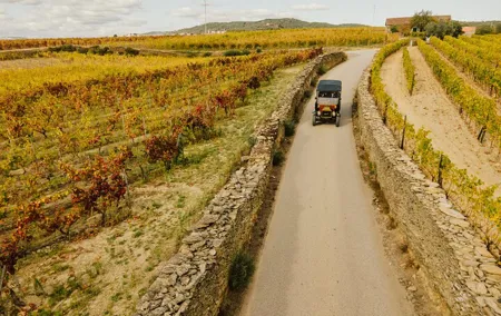 Two Day Tour of the Douro Valley