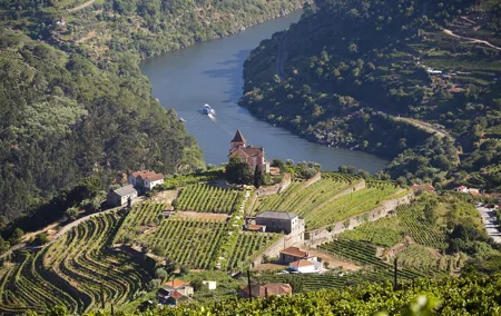 Douro Valley Private Full–Day Tour from Porto