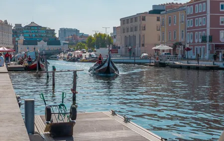Aveiro and Costa Nova: Private Tour with Moliceiro Cruise Half Day