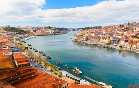 Porto City Tour Half Day - Private