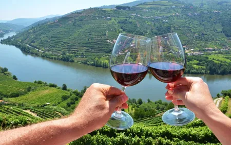 Porto: Douro Valley Wine Tour Including Lunch