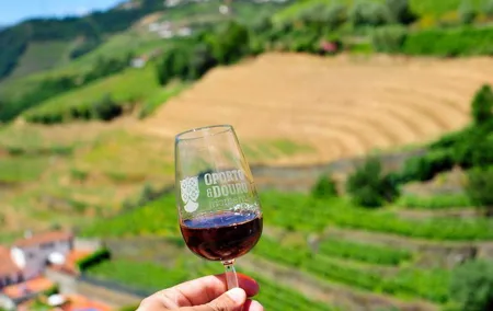Private off the beaten Douro Valley Wine Tour