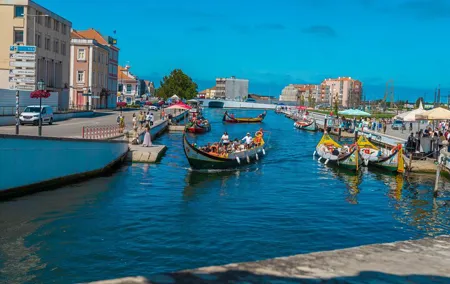 Coimbra & Aveiro Full Day Private Tour from Porto