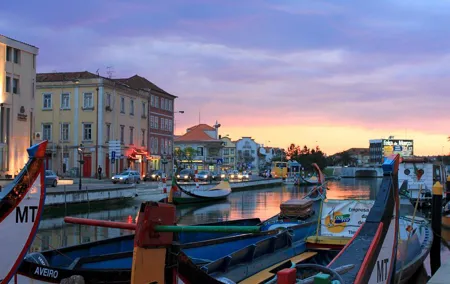 Aveiro and Coimbra Private Tour From Porto