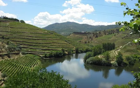 Authentic Douro Valley - small-Group Tour (Max 7)