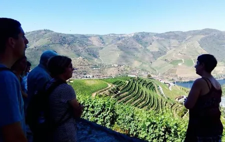 Small Group Douro Wine Valley Tour with Lunch and Wine Tasting