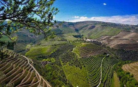 From Porto: Private Douro Valley Tour