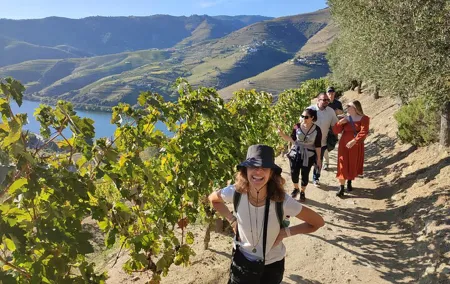 Douro Valley Premium Tours - Private Driver & Guide