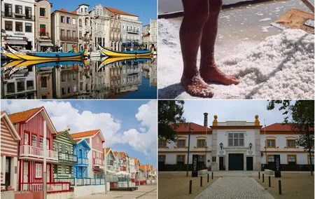 Aveiro Tour Small group, Moliceiro Cruise, Costa Nova, Vista Alegre & Lunch