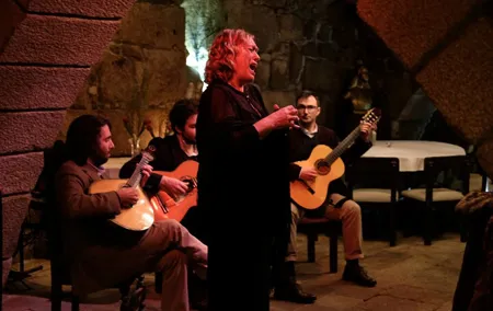 Porto Moonlight Walk and Fado Dinner