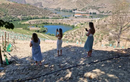 From Porto Private Tour Douro Valley two Wineries, Lunch and Boat.