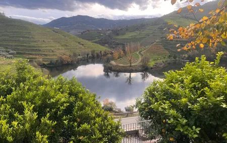 Private Tour From Porto To Douro Valley With River Boat Ride
