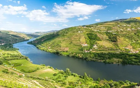 Douro Valley private tour with wine tasting and boat tour
