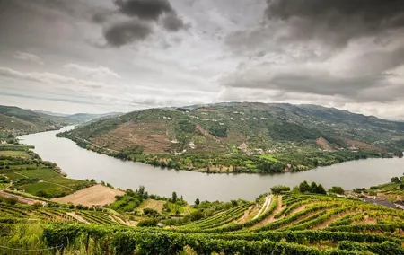 Douro Valley Private Tour from Oporto