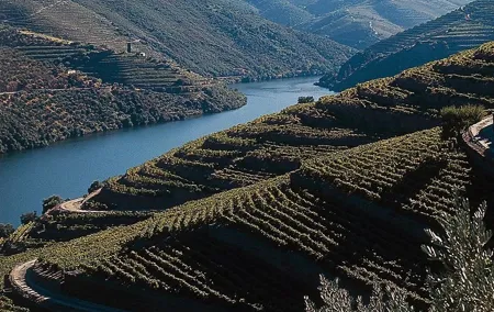 Private Douro Valley Tour Includes Wine Tasting and Boat Tour