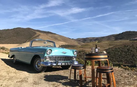 Taste the Douro - Vintage Experience