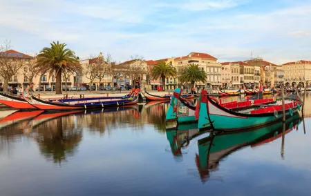 Private day trip from Porto to Aveiro, Coimbra and back